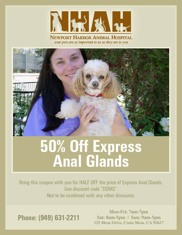 Newport Harbor Animal Hospital Boarding - Get More Anythink's