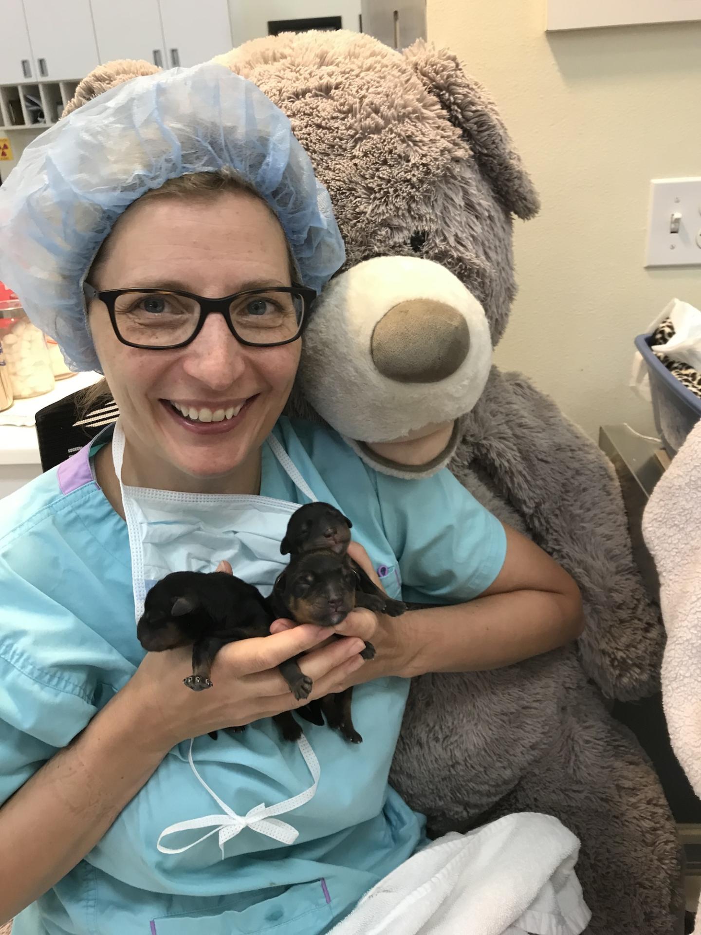 Dr. Mary Sebzda Theriogenology Veterinarian Puppies