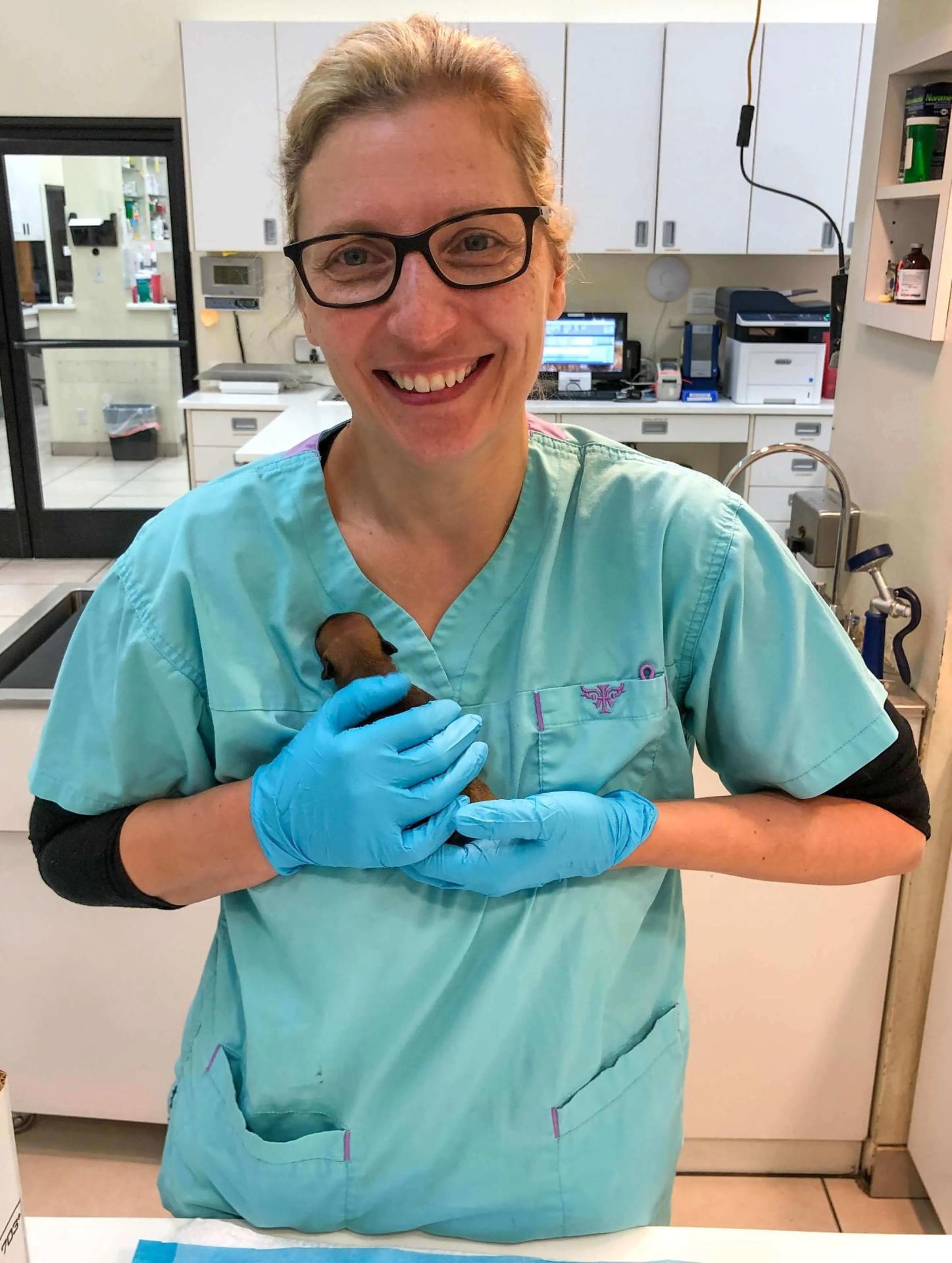 Dr. Mary Sebzda Theriogenology Veterinarian Holding Puppy