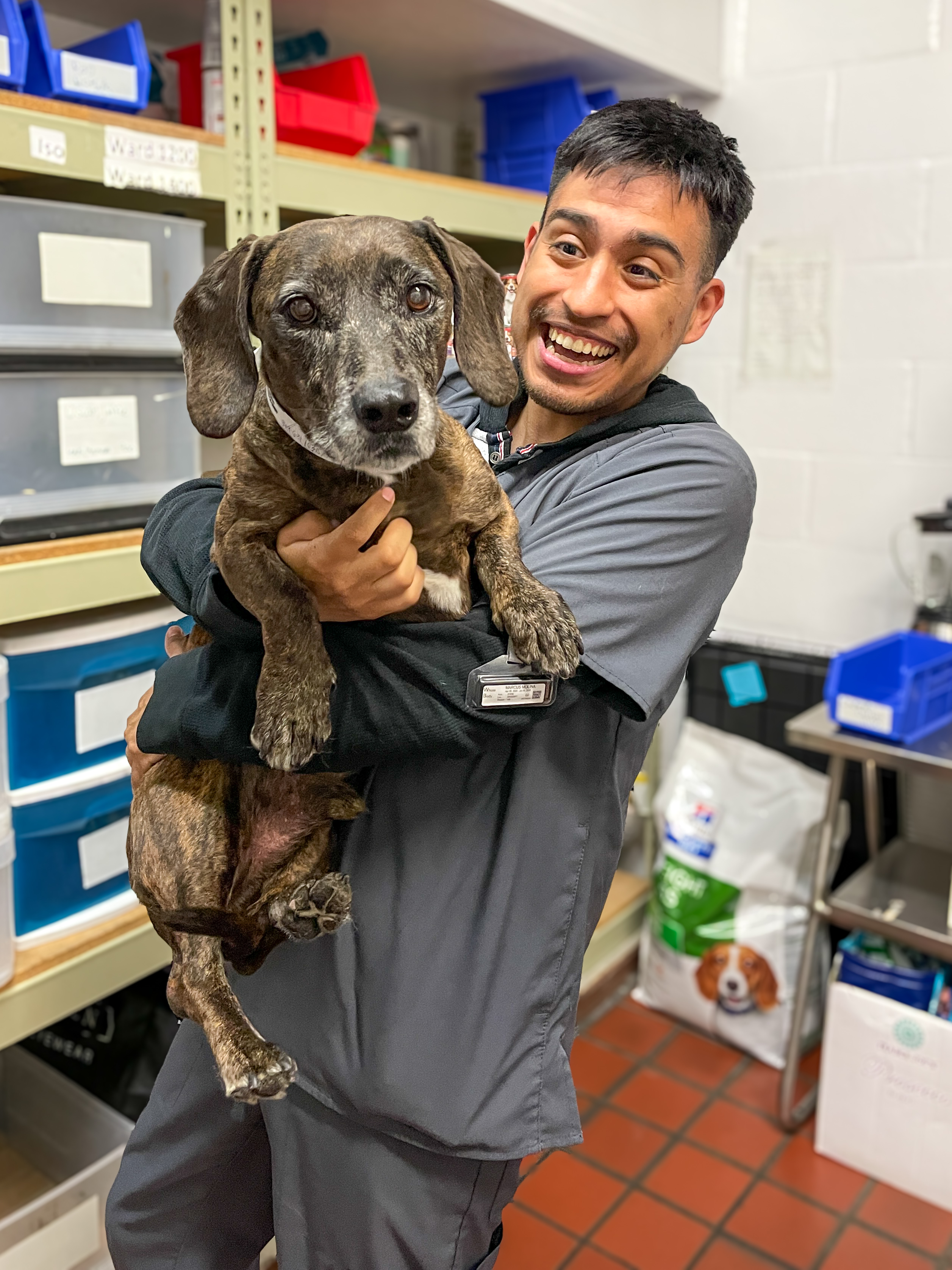 Black Boarding Dog Hugged By Attendant